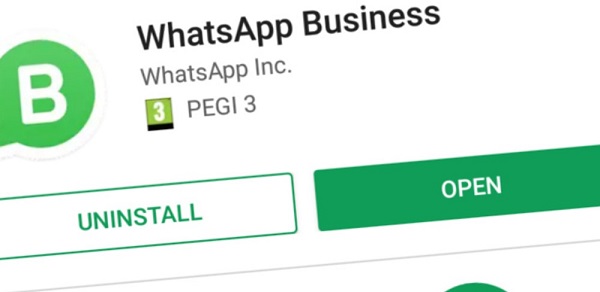 WhatsApp Business arriva in Italia: preludio di una nuova rivoluzione?